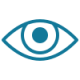 icons8-vision-100 (2)